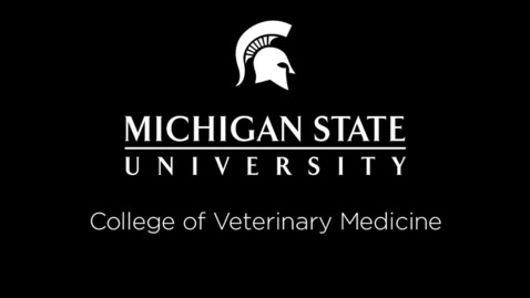 Thumbnail for entry VM 515-Natural Feline Behavior Lecture