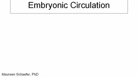 Thumbnail for entry ANTR510 (006) Early Embryology: Embryonic circulation 