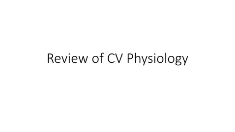 Thumbnail for entry VM 565-Review of CV Physiology  Video