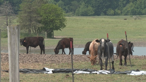 Thumbnail for Agriculture. Dr. Dong. MSU farmers use technology to monitor soil levels