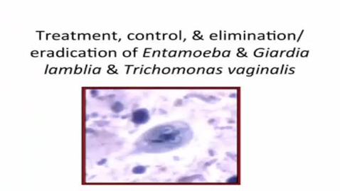 Thumbnail for HM887entamoeba