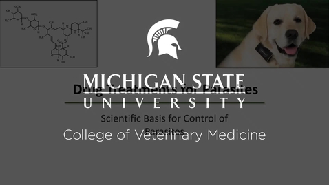 Thumbnail for entry VM 575-Drug Treatments for Parasites