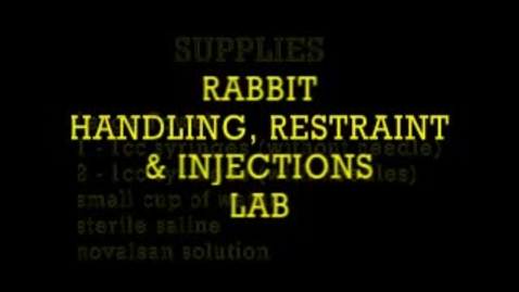 Thumbnail for entry Rabbit Restraint &amp; Phlebotomy