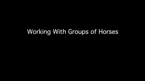 Thumbnail for entry VM 515-Working with Groups of Horses