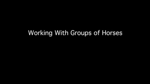 Thumbnail for VM 515-Working with Groups of Horses