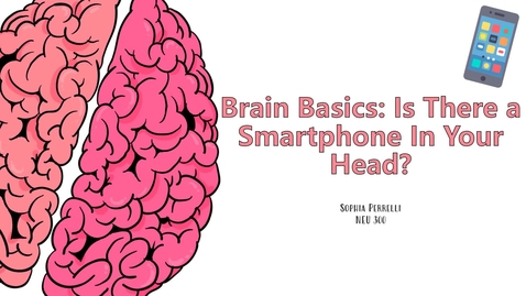 Thumbnail for NEU 300 -Brain Basics: Is There a Smartphone in Your Head?