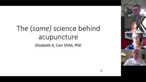Thumbnail for entry LCS CE: The (some) science behind acupuncture-Carr