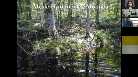 Thumbnail for Michigan Vernal Pools Partnership - 2nd Annual Partnership Meeting_2019Oct23_Part2