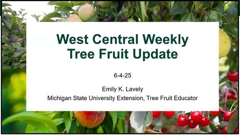 Thumbnail for 6-4-25 WC Tree Fruit Update