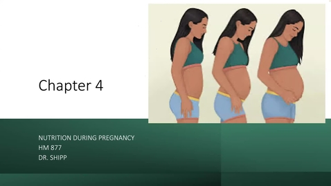 Thumbnail for entry Nutrition During Pregnancy/ Conditions &amp; Interventions