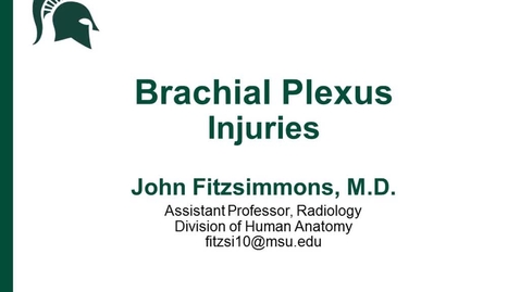 Thumbnail for entry ANTR510 (022) Brachial Plexus Injuries
