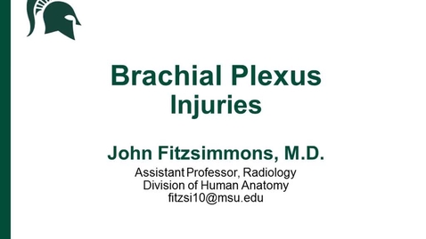 Thumbnail for ANTR510 (022) Brachial Plexus Injuries