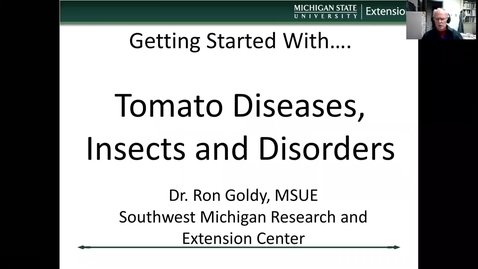Thumbnail for entry Tomato diseases, insects and disorders