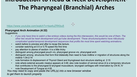 Thumbnail for entry 3-1 Intro to Pharyngeal Apparatus