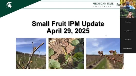 Thumbnail for April 29, 2025 MSUE Tree Fruit IPM Update for Southern Michigan
