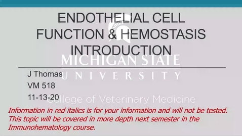 Thumbnail for entry VM 518-Endothelial cell function &amp; hemostasis introduction