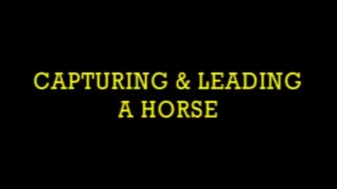 Thumbnail for entry Capturing &amp; Leading a Horse