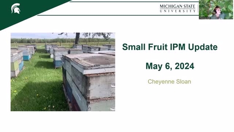 Thumbnail for SouthMichiganFruitIPMUpdate05062024