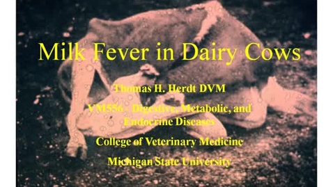 Thumbnail for entry VM_559_09292011_Milk_Fever_Dairy__Herdt_