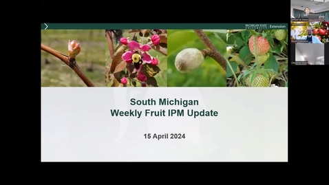 Thumbnail for entry South Michigan Fruit IPM Update Apr15 2024