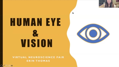 Thumbnail for entry Human Eye &amp; Vision