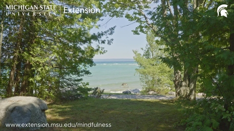 Thumbnail for Charlevoix Big Rock Point | Michigan State of Mindfulness