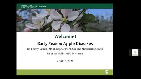 Thumbnail for Early Season Apple Diseases 2021