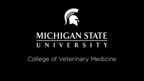 Thumbnail for entry VM 517-History Taking Large Animal Neurology