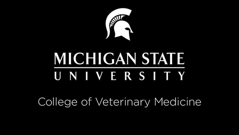 Thumbnail for entry VM 530-Arthropods of Veterinary Importance (Ticks)