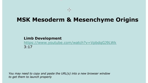 Thumbnail for entry 4-1 MSK Mesoderm Mesenchyme Origins