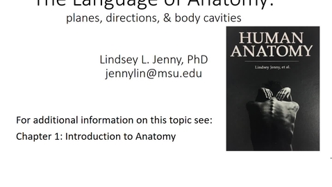 Thumbnail for entry The Language of Anatomy