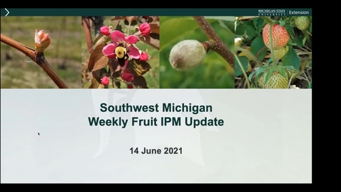 Thumbnail for entry MSU SW Fruit Update  June 14 2021