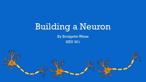 Thumbnail for entry Building a Neuron