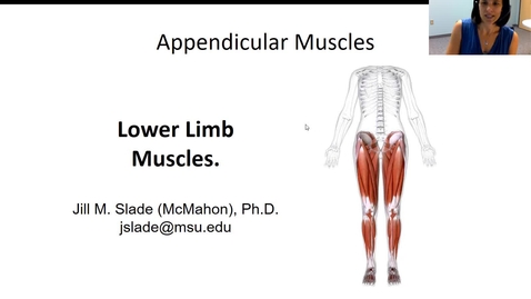 Thumbnail for entry LL Muscles Part I