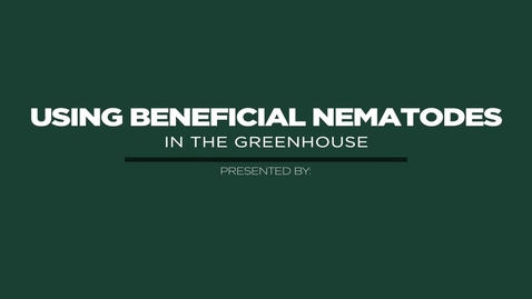 Thumbnail for Using Beneficial Nematodes in the Greenhouse