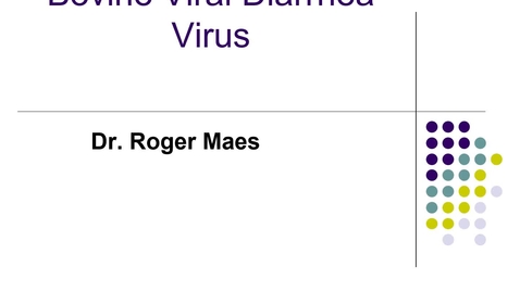 Thumbnail for entry VM 530-Bovine Viral Diarrhea Virus-Maes