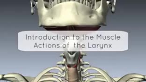 Thumbnail for entry Introduction to Muscles and Actions of the Layrnx