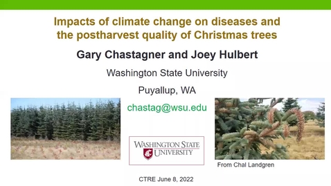Thumbnail for entry 2022 CTRE: Potential Impacts of climate change on diseases and the postharvest quality of Christmas trees