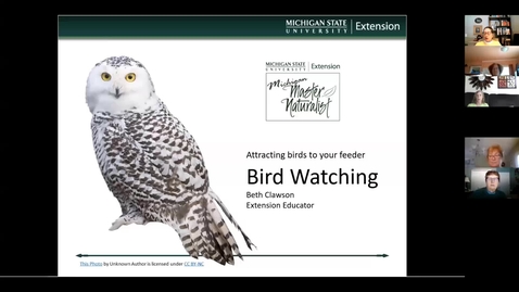 Thumbnail for Attracting birds for Heritage Commons group