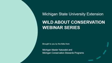Thumbnail for Wild About Conservation: Spongy Moth Webinar