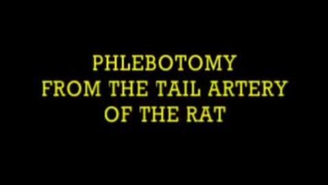 Thumbnail for entry Phlebotomy in the Rat