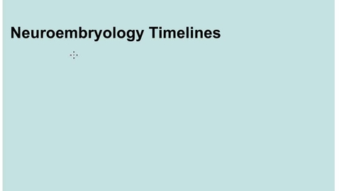 Thumbnail for entry 2-1 Neurogenesis &amp; Neuroembryology Timelines