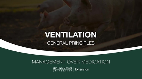 Thumbnail for Swine Ventilation