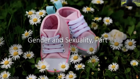 Thumbnail for Chapter 6_Gender_Video