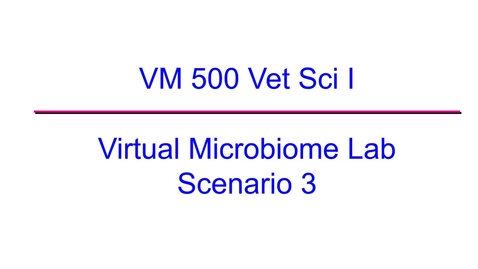 Thumbnail for entry VM 500-Virtual Microbiome Lab 2020 Scenario 3