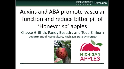 Thumbnail for entry 2022 Auxins and ABA to reduce bitter pit in Honeycrisp apples - Todd Einhorn