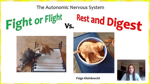 Thumbnail for entry The Autonomic Nervous System - Rest and Digest vs. Fight or Flight