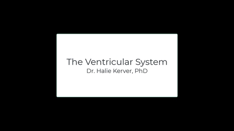 Thumbnail for entry OST571 (Lab 1.4) The Ventricular System