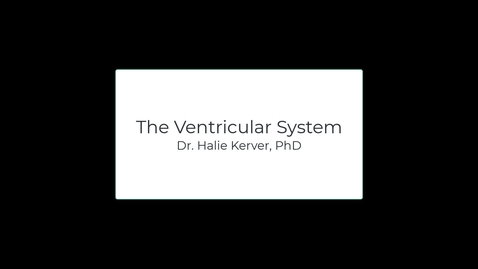 Thumbnail for OST571 (Lab 1.4) The Ventricular System