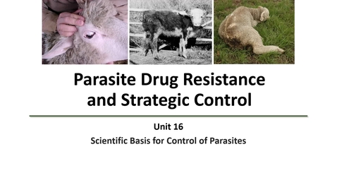 Thumbnail for entry VM530-Drug Resistance and Strategic Control